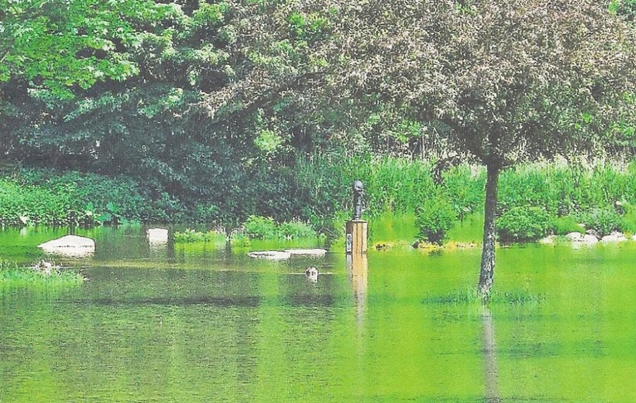 Barfußweg im Hochwasser