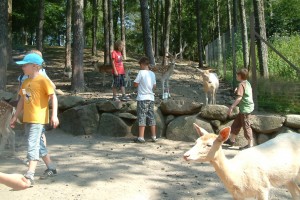 Lbg Heide 04