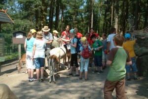 Lbg Heide 05