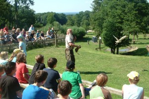 Lbg Heide 08