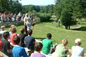 Lbg Heide 10