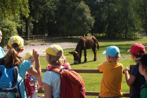 Lbg Heide 15