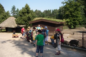 Lbg Heide 16