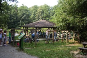Otterzentrum 07