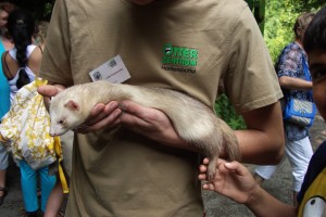 Otterzentrum 10