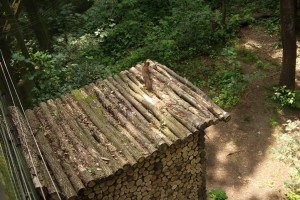 Otterzentrum 11