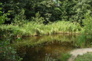 Otterzentrum 16