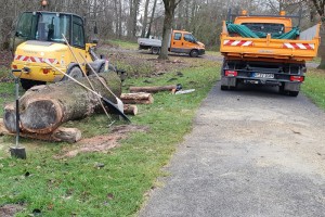 bild1