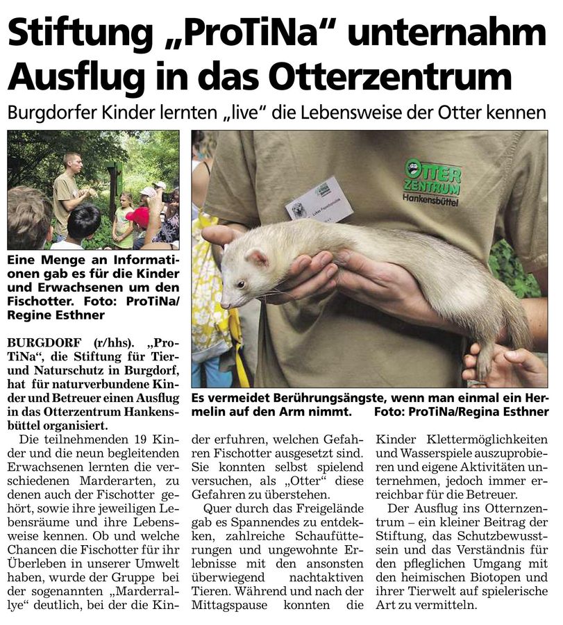 Marktspiegel · 12.10.2013